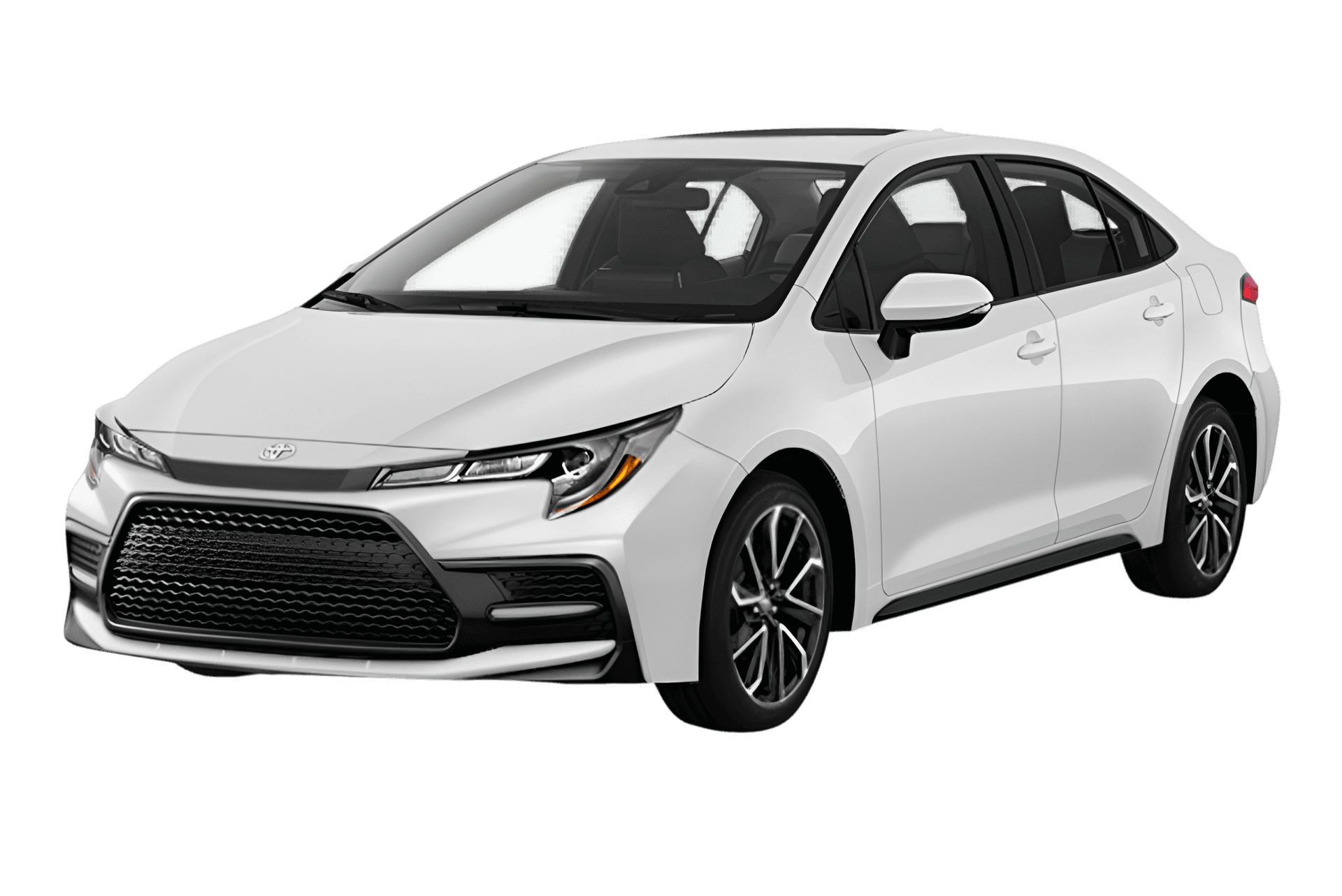 Car Rental